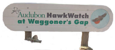 Audubon Hawk Watch at Waggoner's Gap Sign